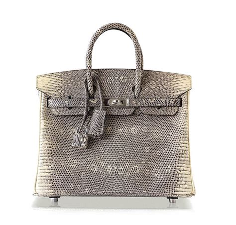 ombre bag hermes|Hermes lizard Birkin handbags.